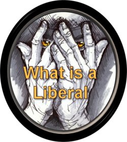 What is a Liberal